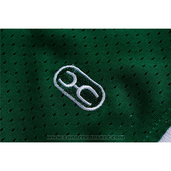 Maglia NCAA Michigan State Spartans Magic Johnson #33 Retro Verde